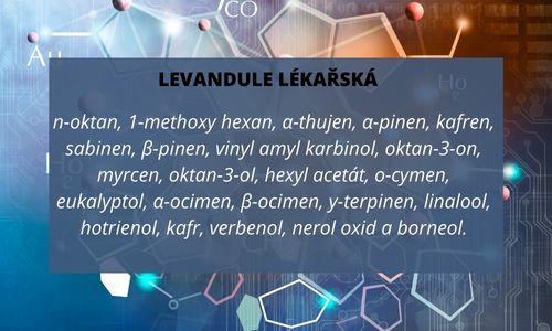 SLOŽENÍ OLEJE LEVANDULE LÉKAŘSKÉ